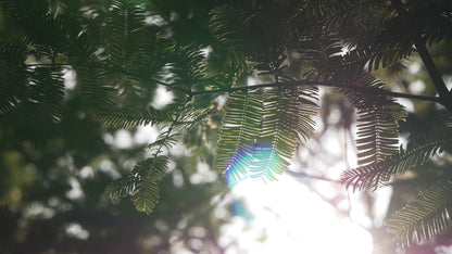 Werph 43 In Gas Fire Pits Table for Patio,Fire Pit Table for Outside,Fire Table with Glass Window Protector,2 in 1 Outdoor Firepit Table with Lid and Glass Crystal Stone, Propane Fire Pit Table,Black